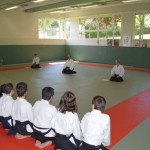 passage de grades-16-06-2013-05
